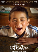 剑武九州：为何这款游戏如此受欢迎？